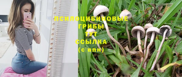 гидропоника Володарск