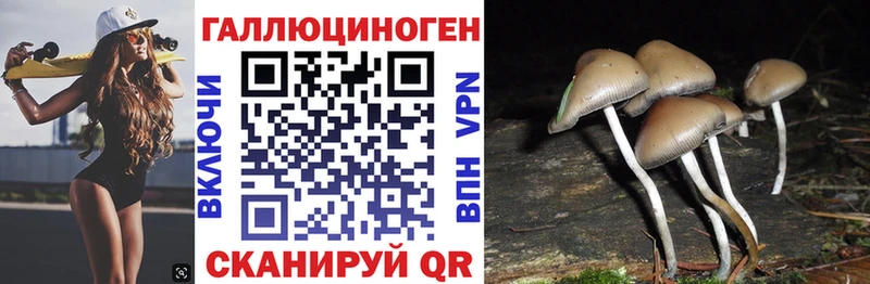 купить наркотик  Певек  Псилоцибиновые грибы Cubensis 